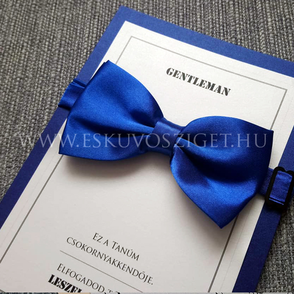 Férfi tanú felkérő meghívó testvér ajándék egyedi különleges ajándék esküvőre | Richard férfi tanúfelkérő ajándék csokornyakkendővel kék